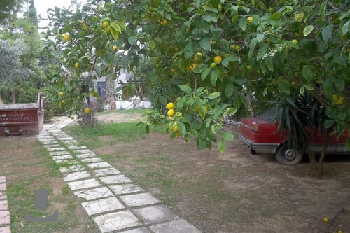 Foto - Grundstück in zum Kaufen