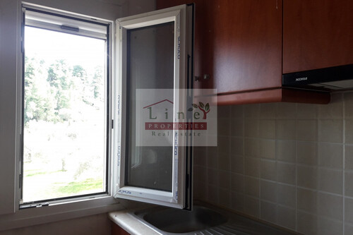 Foto - 16 Zimmer Einfamilienhaus in 