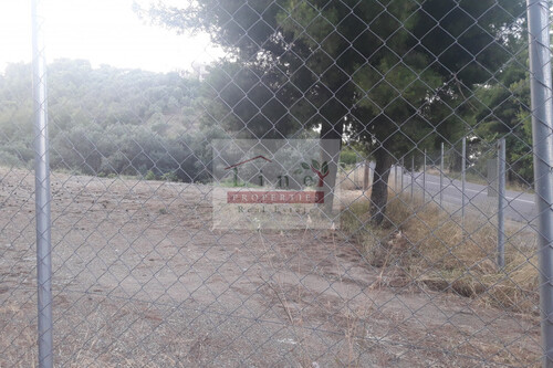 Foto - Grundstück zum Kaufen in 