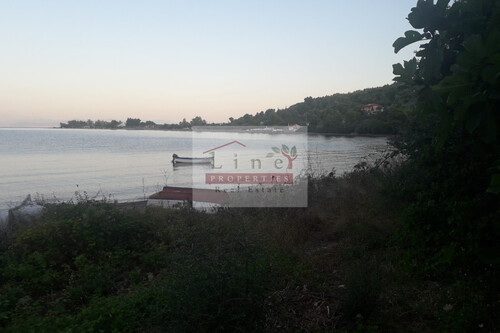 Foto - Grundstück in zum Kaufen