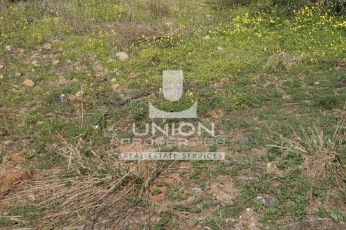 Foto - Grundstück Land Kaufen, , Koropi (Athen Ost),