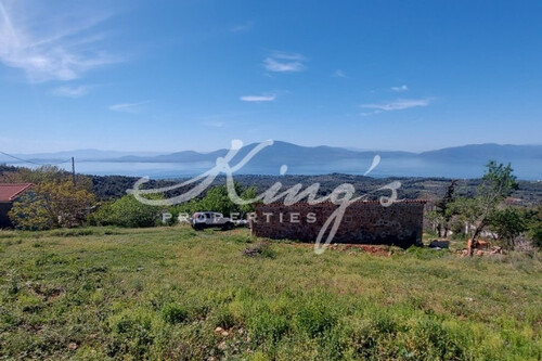 Foto - Grundstück zum Kaufen in 