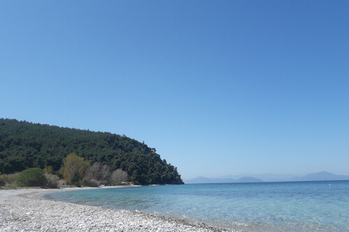 Foto - Grundstück Land Kaufen, , Artemisio (Euböa),