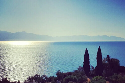 Foto - Grundstück Land Kaufen, , Petalidi (Messinia),