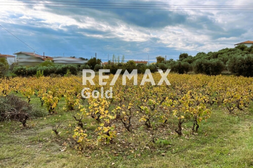 Foto - Grundstück zum Kaufen in 