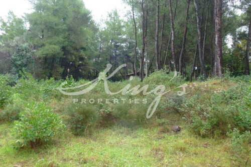 Foto - Grundstück Land Kaufen, , Lykovrysi (Athen Nord),