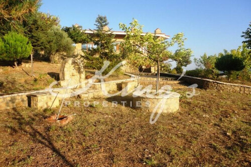 Foto - Gewerbeobjekt (Büro, Produktion, Verkauf) in zur Miete