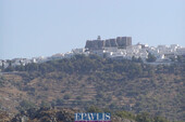 Foto - 