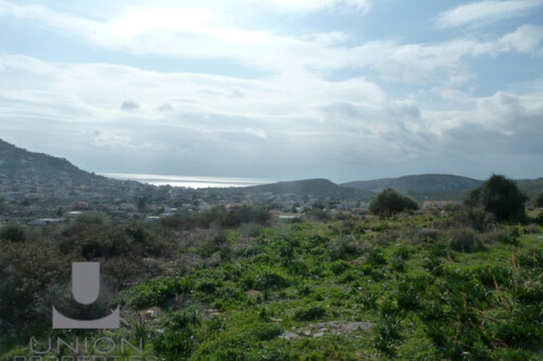 Foto - Haus Kaufen, , Koropi (Athen Ost),