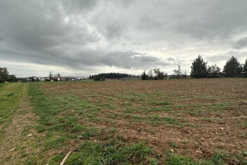 Foto - Grundstück Land Kaufen, , Thermi (Thessaloniki - Stadtorte um das Stadtzentrum),