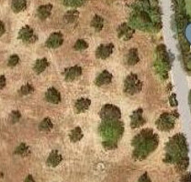 Grundstück Land Kaufen, , Kassandra (Chalkidiki),