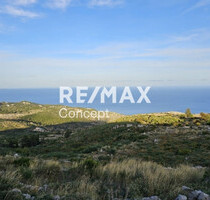 Grundstück Land Kaufen, , Elatio (Zakynthos),