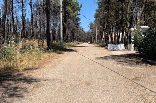 Foto - Grundstück Land Kaufen, , Afidnes (Attika - Restliche Gemeinden),