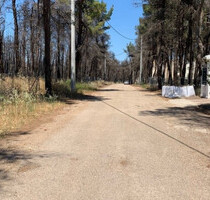 Grundstück Land Kaufen, , Afidnes (Attika - Restliche Gemeinden),