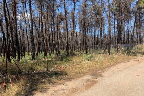 Foto - Grundstück zum Kaufen in 