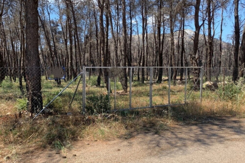 Foto - Grundstück in zum Kaufen