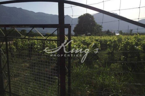 Foto - Grundstück Land Kaufen, , Agios Konstantinos (Fthiotida),