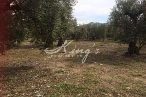 Foto - Grundstück in 