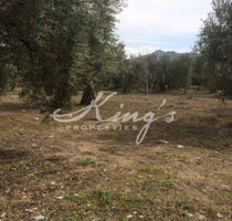 Grundstück Land Kaufen, , Agios Konstantinos (Fthiotida),