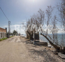 Haus Kaufen, , Agria (Pilio), - ca.  1.446,00 m² in (PLZ: )