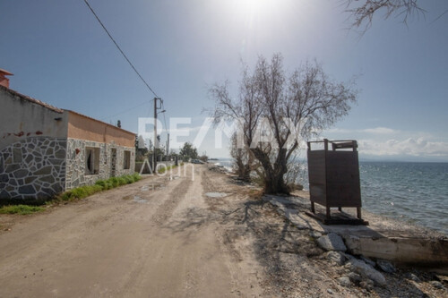 Foto - 3 Zimmer Einfamilienhaus in 