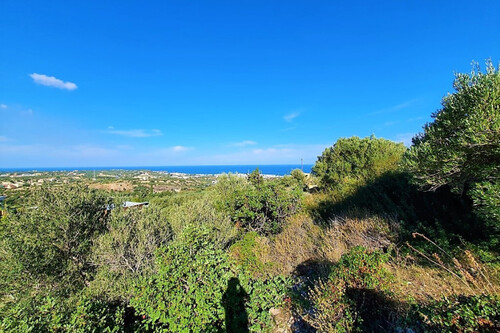 Foto - Grundstück zum Kaufen in 
