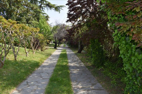 Foto - 8 Zimmer Einfamilienhaus in 