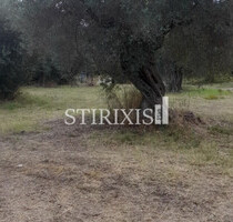 Grundstück Land Kaufen, , Kassandra (Chalkidiki),