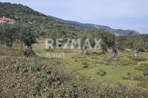 Foto - Grundstück zum Kaufen in 