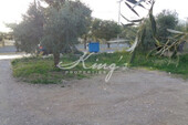 Foto - Grundstück Land Kaufen, , Acharnes (Athen West),