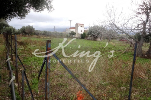 Foto - Grundstück Land Kaufen, , Acharnes (Athen West),