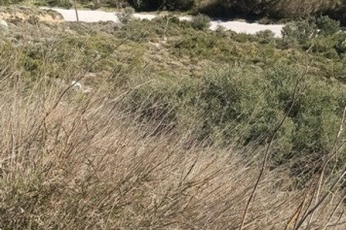 Foto - 