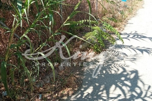 Foto - Grundstück zum Kaufen in 