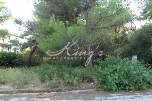 Foto - Grundstück Land Kaufen, , Acharnes (Athen West),