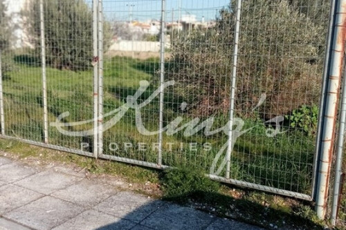 Foto - Grundstück Land Kaufen, , Acharnes (Athen West),
