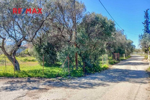 Foto - Grundstück Land Kaufen, , Aigio (Achaia),