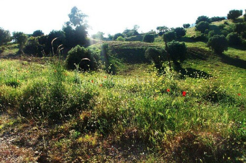 Foto - Grundstück in 