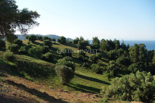 Foto - Grundstück in zum Kaufen