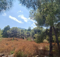 Grundstück Land Kaufen, , Sithonia (Chalkidiki),