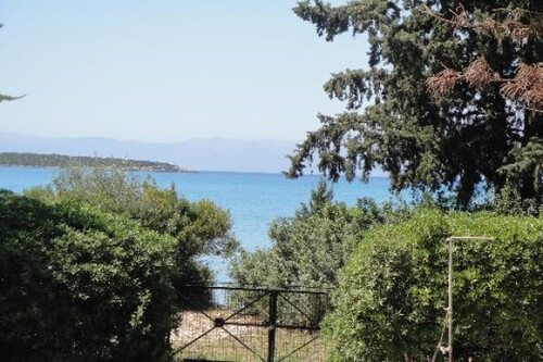 Foto - 5 Zimmer Einfamilienhaus zum Kaufen in 