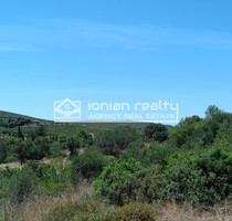 Grundstück Land Kaufen, , Elatio (Zakynthos),