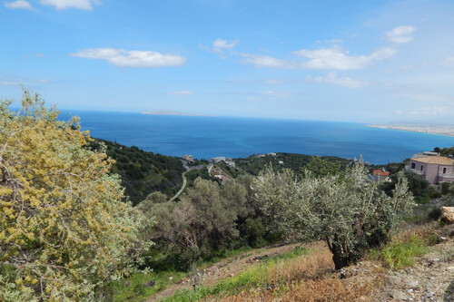Foto - Grundstück zum Kaufen in 