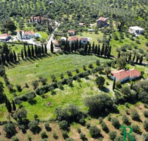 Grundstück Land Kaufen, , Kyparissia (Messinia),