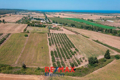 Foto - Grundstück Land Kaufen, , Kassandra (Chalkidiki),