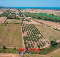 Grundstück Land Kaufen, , Kassandra (Chalkidiki),