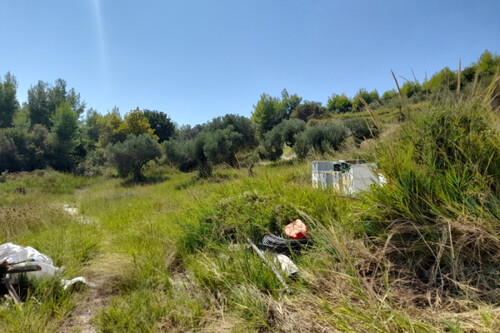 Foto - Grundstück Land Kaufen, , Kassandra (Chalkidiki),