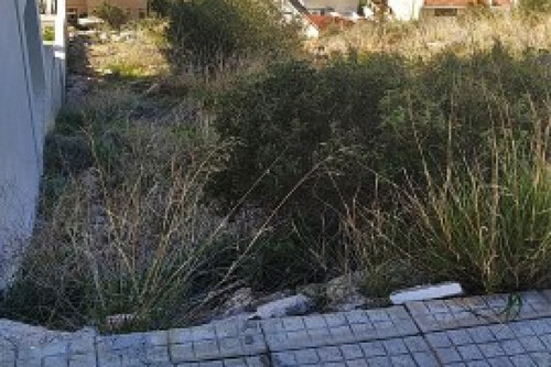 Foto - Grundstück Land Kaufen, , Saronida (Attika - Restliche Gemeinden),