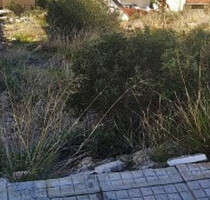 Grundstück Land Kaufen, , Saronida (Attika - Restliche Gemeinden),