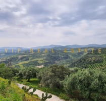 Grundstück Land Kaufen, , Gorgolaini (Heraklion Präfektur),