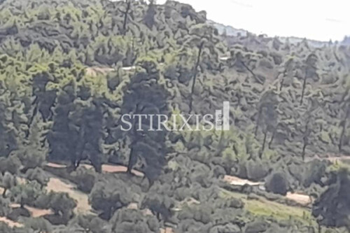 Foto - Grundstück zum Kaufen in 